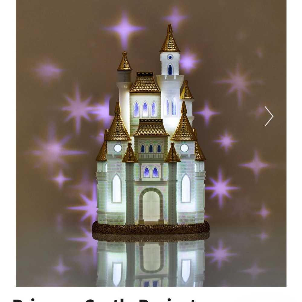 Disney Castle WallFlower